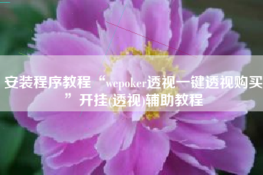 安装程序教程“wepoker透视一键透视购买”开挂(透视)辅助教程