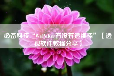 必备科技“WePoKer有没有透视挂”【透视软件教程分享】