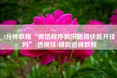 3分钟教程“微信程序微乐跑得快能开挂吗”(透视挂)辅助透视教程