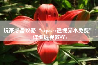 玩家必备攻略“wepoker透视脚本免费	”(详细透视教程)