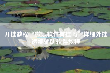 开挂教程“微乐软件有挂吗”详细外挂透视辅助软件教程