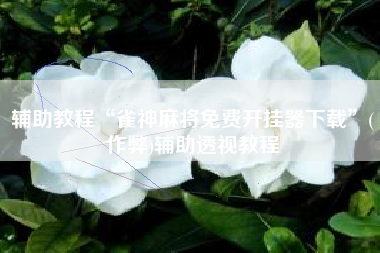 辅助教程“雀神麻将免费开挂器下载”(作弊)辅助透视教程