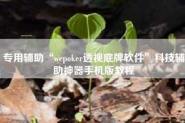 专用辅助“wepoker透视底牌软件”科技辅助神器手机版教程