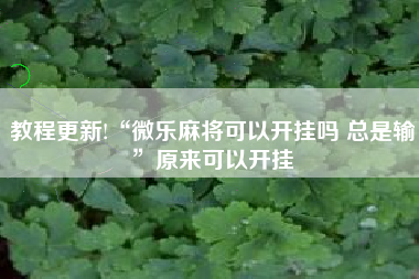 教程更新!“微乐麻将可以开挂吗 总是输	”原来可以开挂