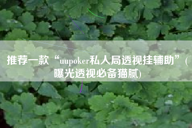 推荐一款“uupoker私人局透视挂辅助”(曝光透视必备猫腻)