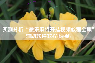 实测分析“微乐麻将开挂视频教程全集	”辅助软件教程(透视)