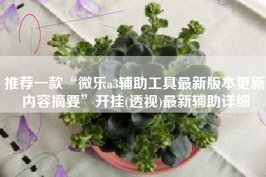 推荐一款“微乐a3辅助工具最新版本更新内容摘要”开挂(透视)最新辅助详细