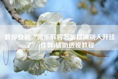 教你安装“微乐麻将怎么检测别人开挂了	”(作弊)辅助透视教程