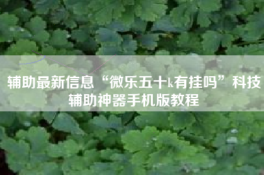 辅助最新信息“微乐五十k有挂吗”科技辅助神器手机版教程