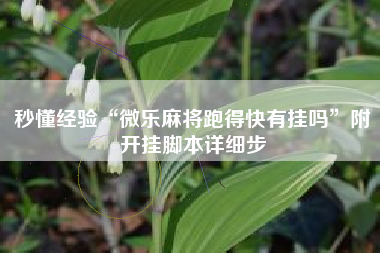 秒懂经验“微乐麻将跑得快有挂吗”附开挂脚本详细步