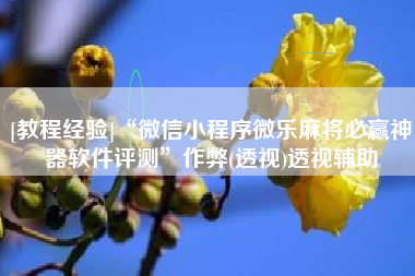 [教程经验]“微信小程序微乐麻将必赢神器软件评测”作弊(透视)透视辅助