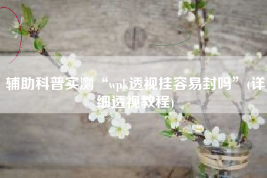 辅助科普实测“wpk透视挂容易封吗”(详细透视教程)