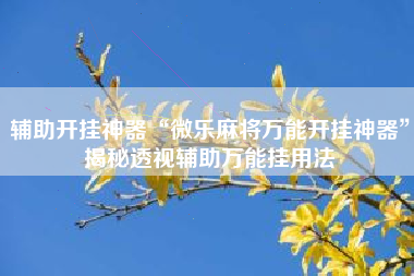 辅助开挂神器“微乐麻将万能开挂神器	”揭秘透视辅助万能挂用法