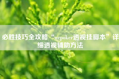 必胜技巧全攻略“wepoker透视挂脚本”详细透视辅助方法