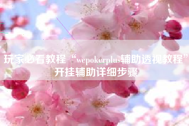 玩家必看教程“wepokerplus辅助透视教程	”开挂辅助详细步骤