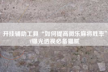 开挂辅助工具“如何提高微乐麻将胜率	”(曝光透视必备猫腻