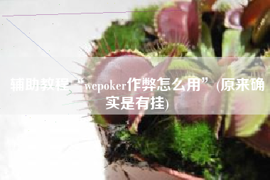 辅助教程“wepoker作弊怎么用”(原来确实是有挂)