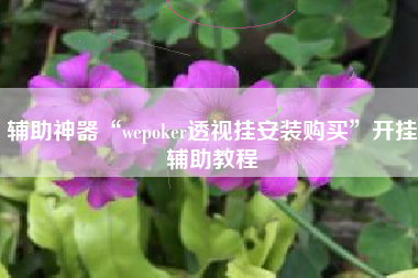 辅助神器“wepoker透视挂安装购买”开挂辅助教程