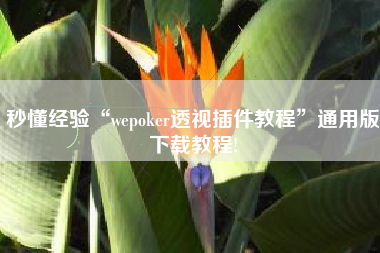 秒懂经验“wepoker透视插件教程	”通用版下载教程!