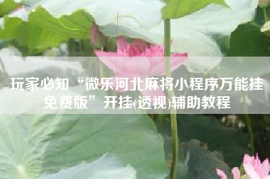 玩家必知“微乐河北麻将小程序万能挂免费版”开挂(透视)辅助教程