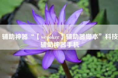 辅助神器“【wepoker】辅助器脚本”科技辅助神器手机
