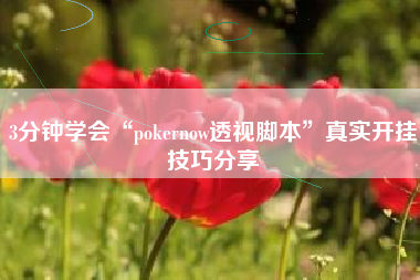 3分钟学会“pokernow透视脚本”真实开挂技巧分享