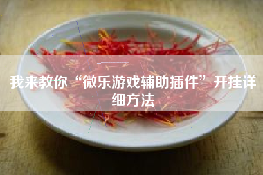 我来教你“微乐游戏辅助插件	”开挂详细方法
