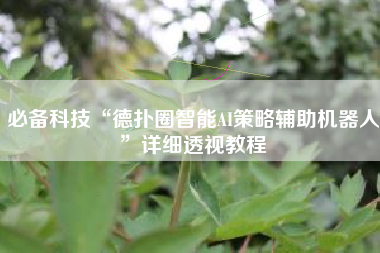 必备科技“德扑圈智能AI策略辅助机器人”详细透视教程