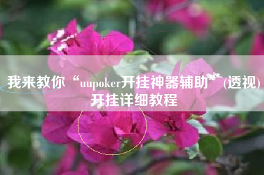 我来教你“uupoker开挂神器辅助”(透视)开挂详细教程