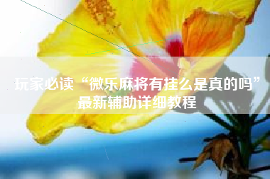 玩家必读“微乐麻将有挂么是真的吗	”最新辅助详细教程