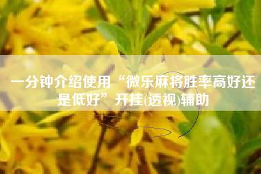 一分钟介绍使用“微乐麻将胜率高好还是低好	”开挂(透视)辅助