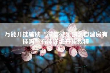 万能开挂辅助“微信微乐刨幺自建房有挂吗”有挂详细开挂教程