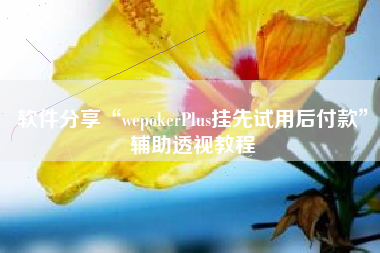 软件分享“wepokerPlus挂先试用后付款”辅助透视教程
