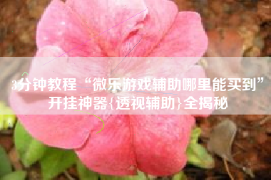 3分钟教程“微乐游戏辅助哪里能买到”开挂神器{透视辅助}全揭秘