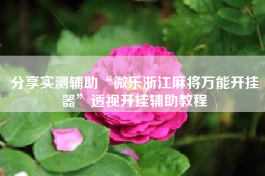 分享实测辅助“微乐浙江麻将万能开挂器”透视开挂辅助教程