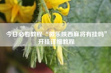 今日必看教程“微乐陕西麻将有挂吗”开挂详细教程