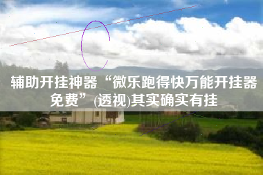 辅助开挂神器“微乐跑得快万能开挂器免费”(透视)其实确实有挂