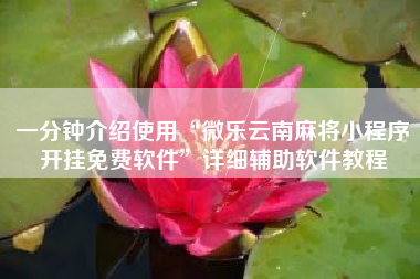 一分钟介绍使用“微乐云南麻将小程序开挂免费软件”详细辅助软件教程