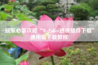 玩家必备攻略“WePoker透视插件下载”通用版下载教程!