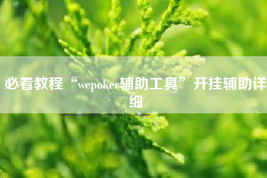 必看教程“wepoker辅助工具”开挂辅助详细