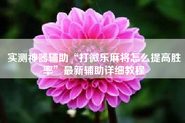 实测神器辅助“打微乐麻将怎么提高胜率	”最新辅助详细教程