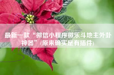 最新一款“微信小程序微乐斗地主外卦神器”(原来确实是有插件)