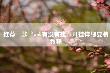 推荐一款“wpk有没有挂	”开挂详细安装教程