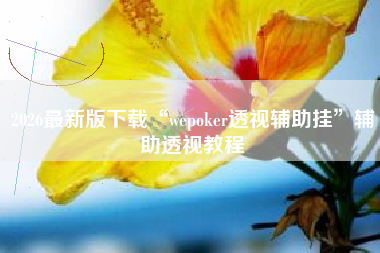 2026最新版下载“wepoker透视辅助挂”辅助透视教程