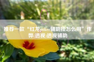 推荐一款“红龙poker辅助挂怎么用”作弊(透视)透视辅助