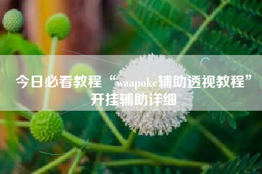 今日必看教程“waapoke辅助透视教程	”开挂辅助详细