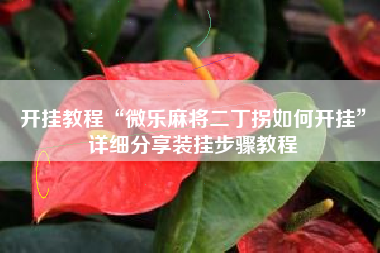 开挂教程“微乐麻将二丁拐如何开挂”详细分享装挂步骤教程