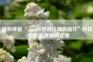辅助神器“agpoker透视挂辅助插件”开挂(透视)最新辅助详细