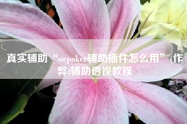 真实辅助“wepoker辅助插件怎么用”(作弊)辅助透视教程