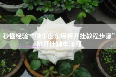 秒懂经验“微乐山东麻将开挂教程步骤	”附开挂脚本详细